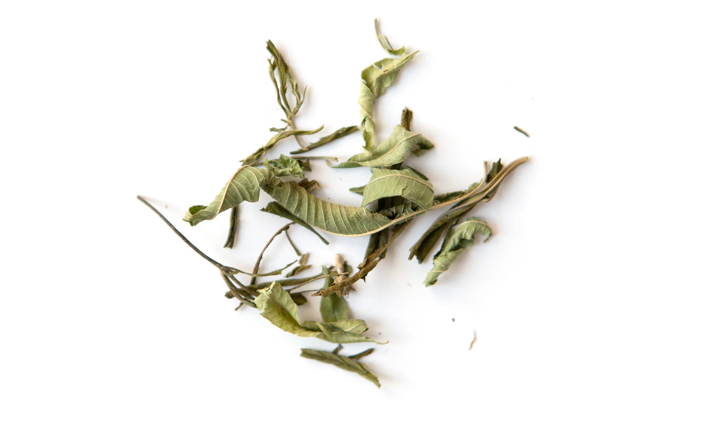 Woodstock T - Chanvre & verveine de France