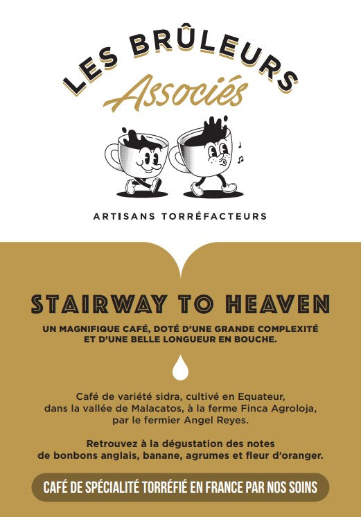 Stairway to heaven - Café de spécialité d'Equateur - Notes fruitées et florales